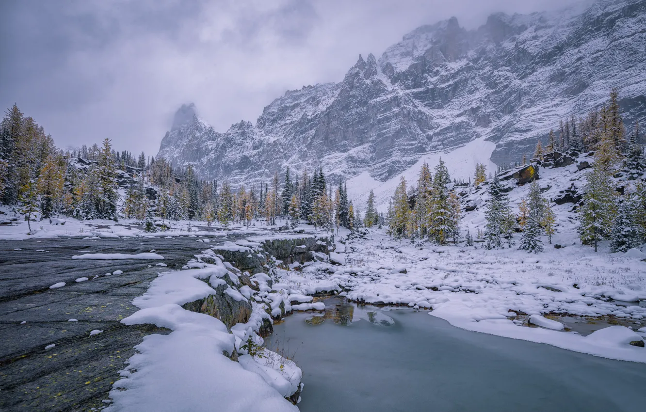 Фото обои зима, вода, снег, деревья, горы, Канада, Canada, British Columbia