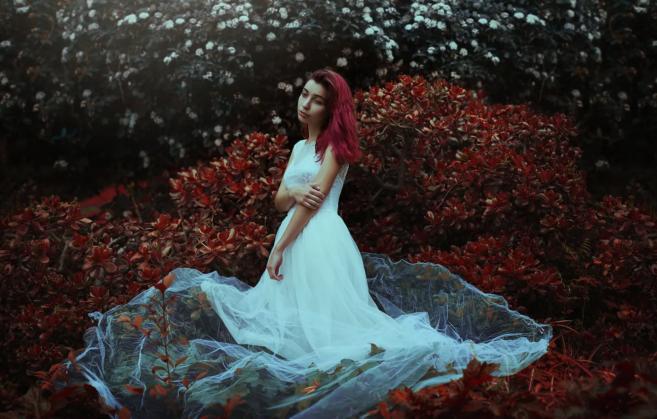 Фото обои лес, листья, девушка, цветы, волосы, белое платье, меланхолия