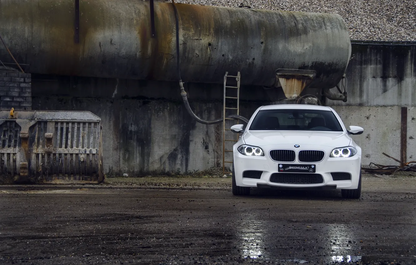 Бмв асфальт. BMW f10 белая. BMW 5 f10 White. M5 f10 белая. БМВ м5 ф10 белый обои.