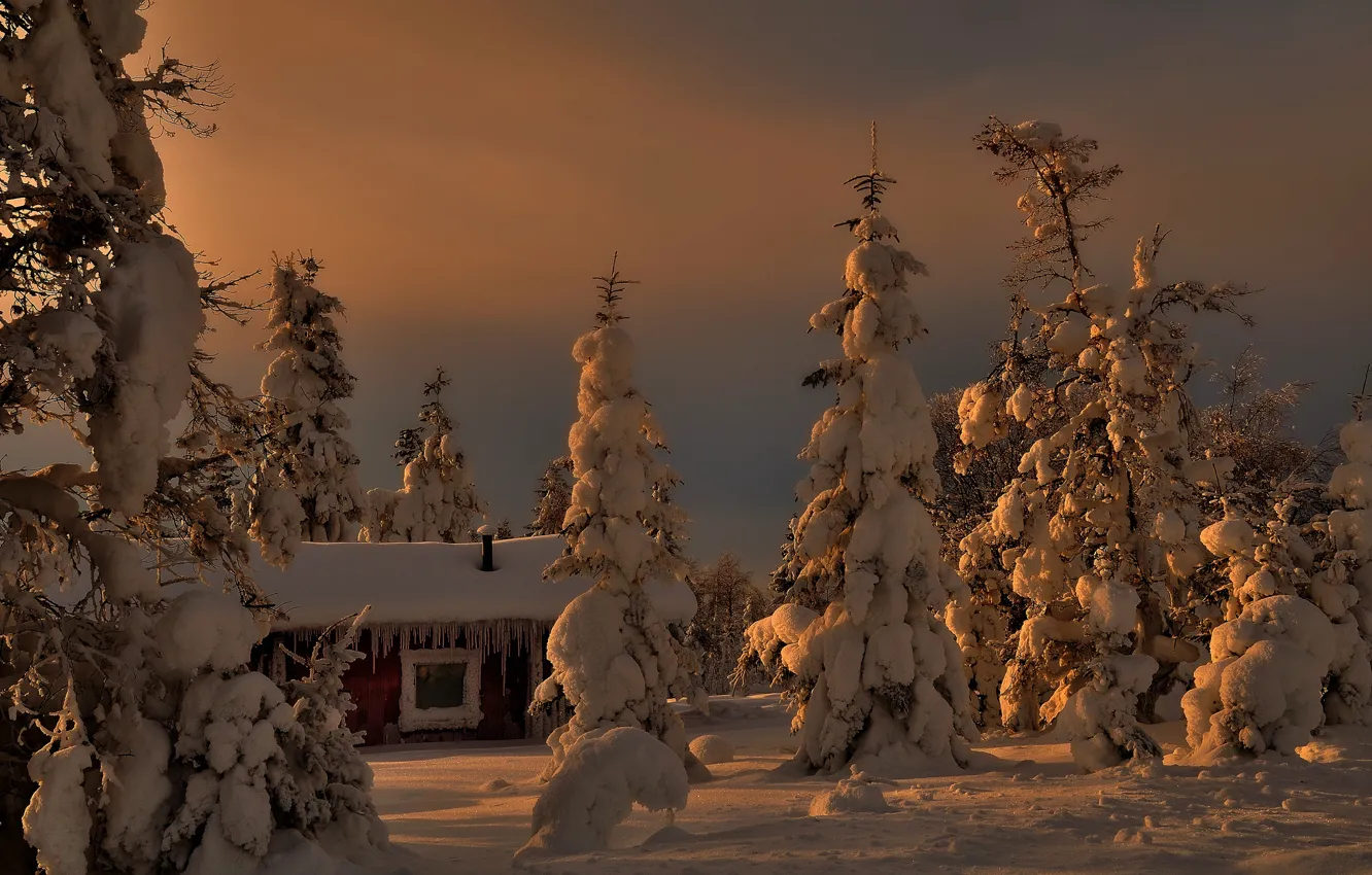 Фото обои зима, снег, деревья, елки, домик