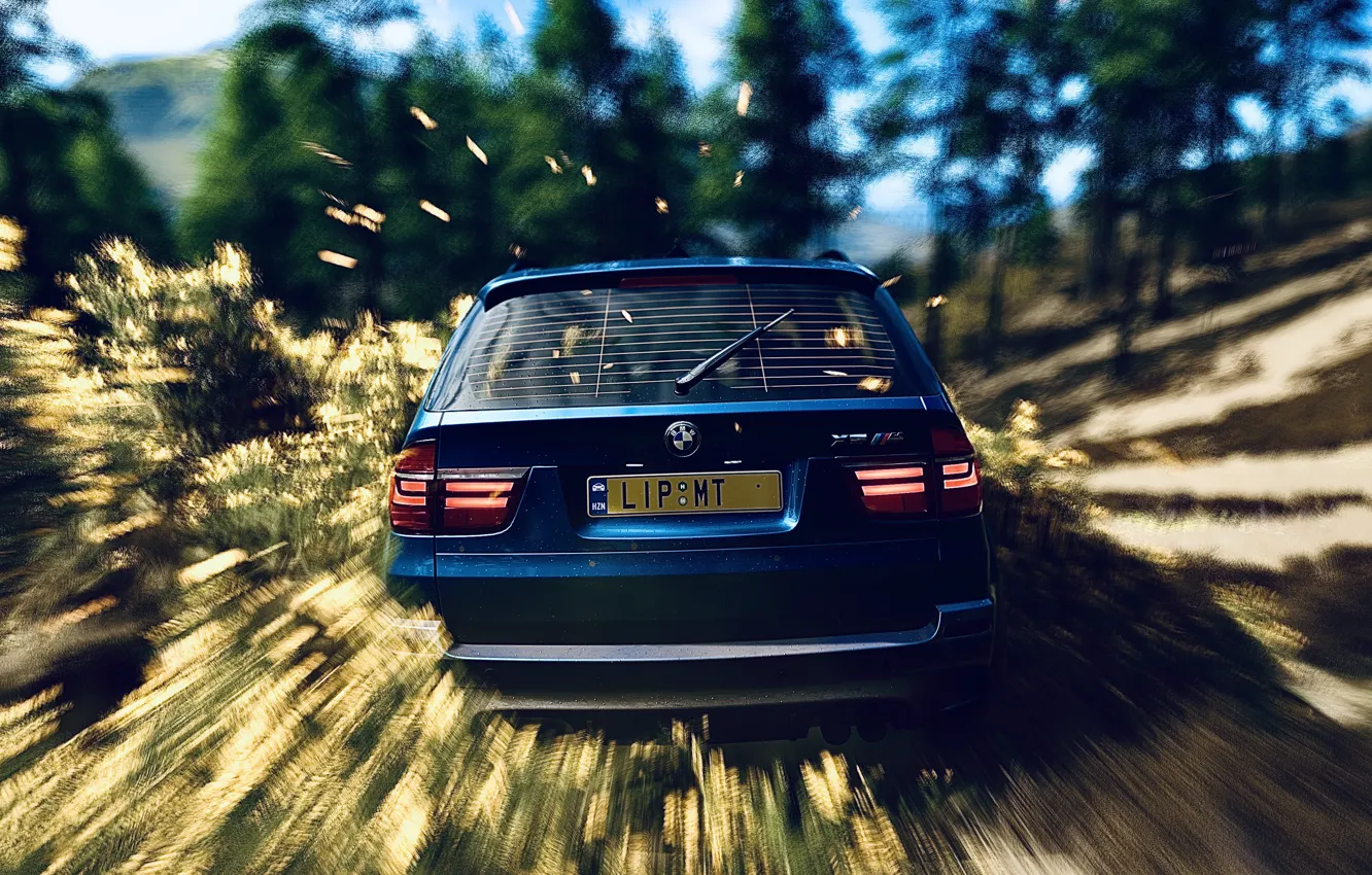 Фото обои HDR, BMW, Wood, Flower, Game, SUV, X5M, Bush
