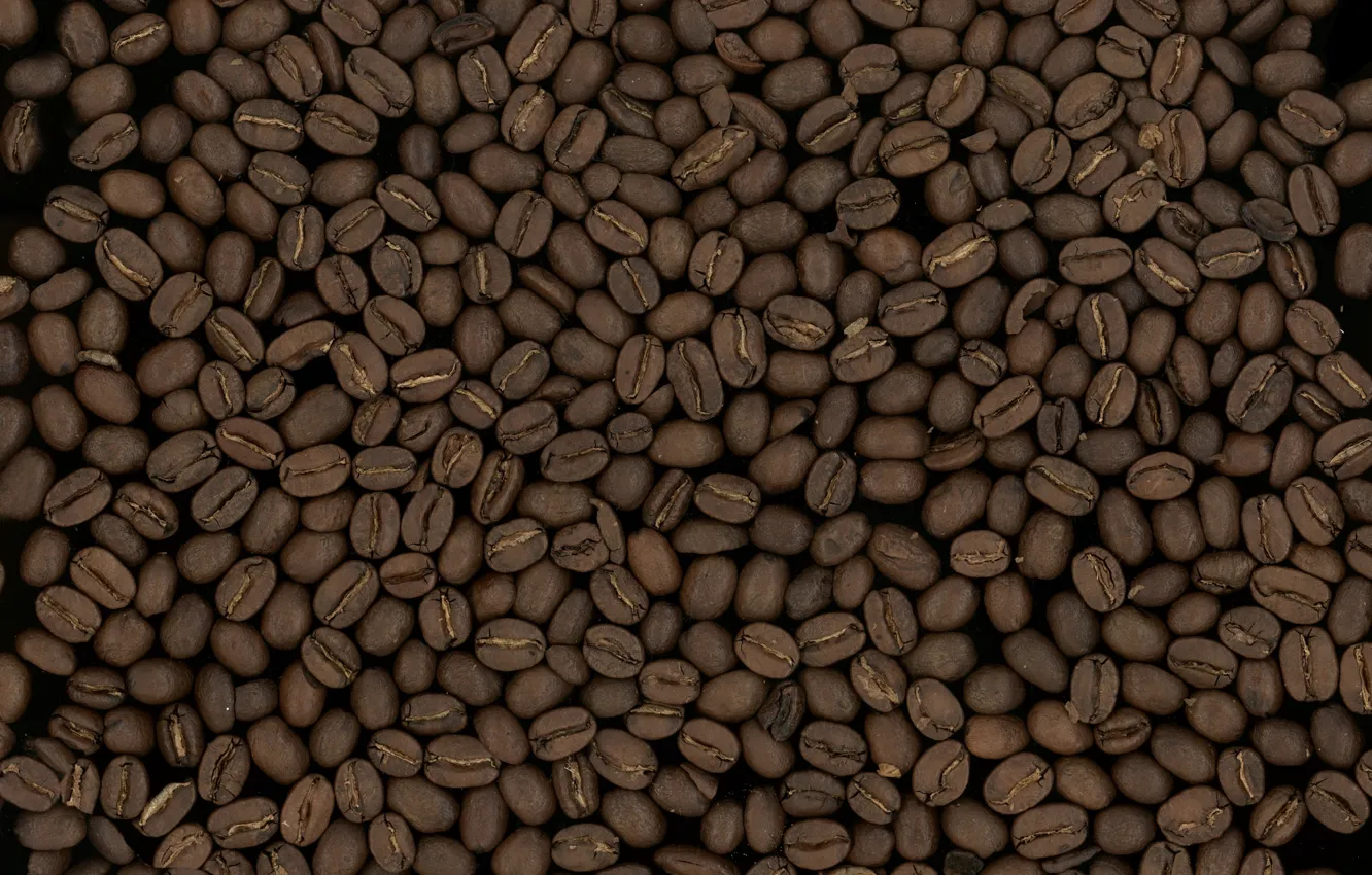 Фото обои макро, фон, зерно, кофе, текстуры, зёрна