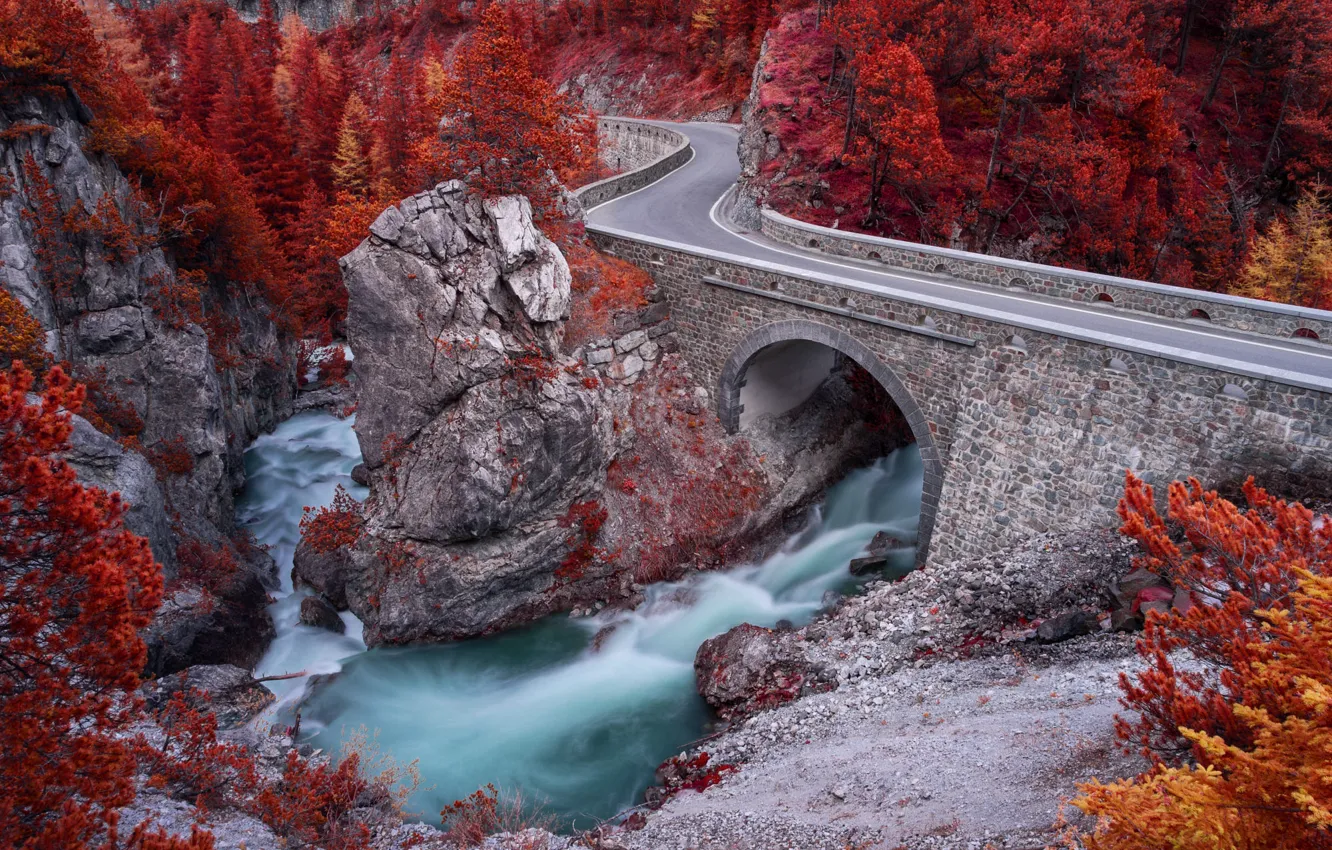 Фото обои дорога, осень, лес, мост, река, течение, арка, акведук
