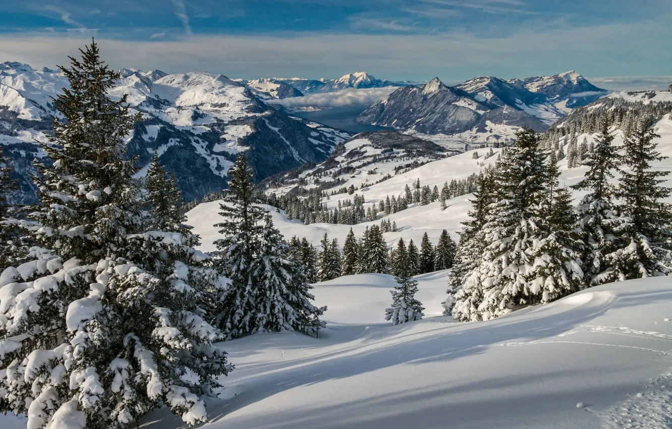 Фото обои зима, снег, деревья, пейзаж, горы, природа, Швейцария, ели