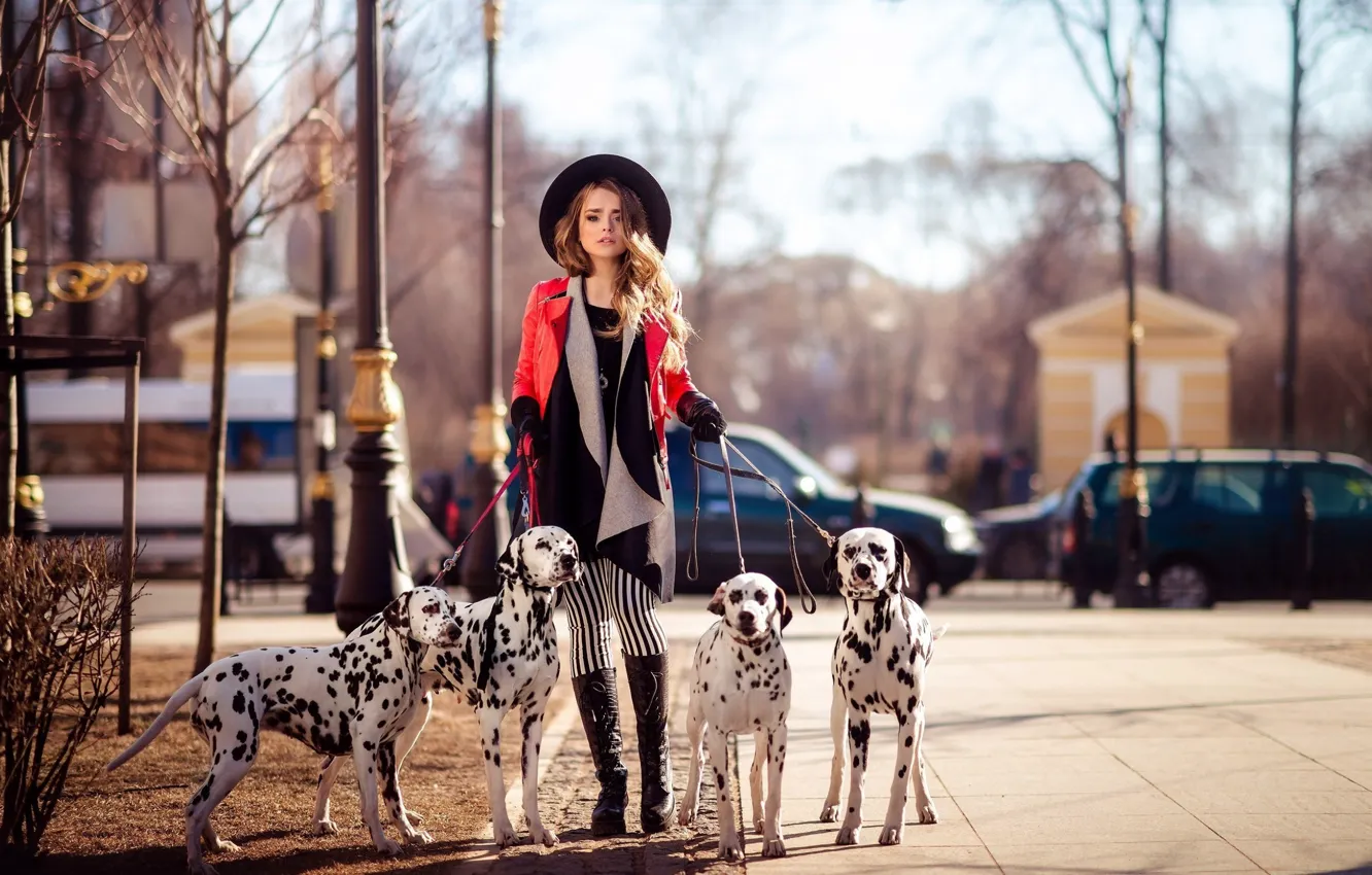 Фото обои photography, dog, model, beauty, lady