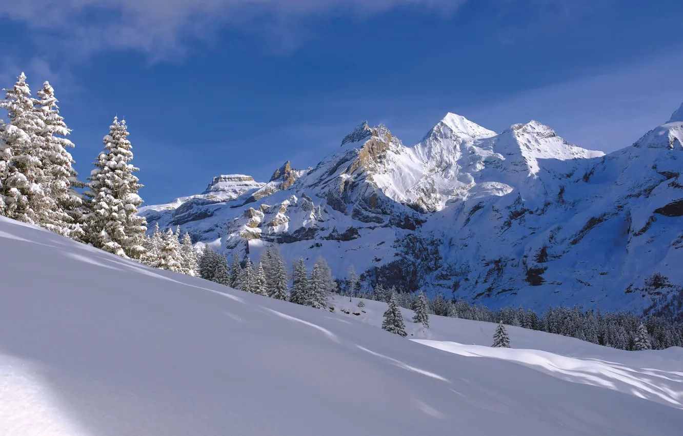 Фото обои зима, снег, деревья, горы, Швейцария, ели, сугробы, Switzerland