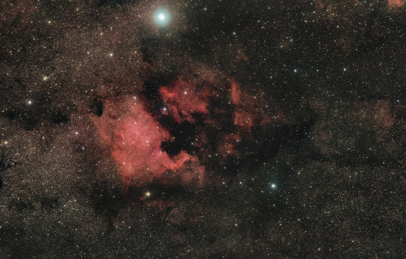 Фото обои космос, туманности, NGC7000, IC5070