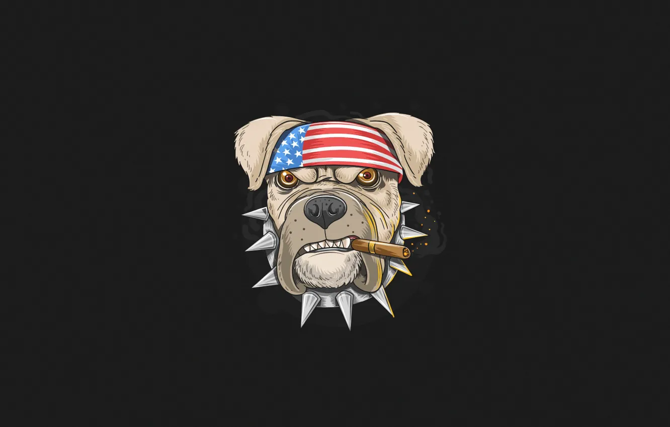 Фото обои Минимализм, Собака, Дым, Стиль, Ошейник, Фон, USA, США