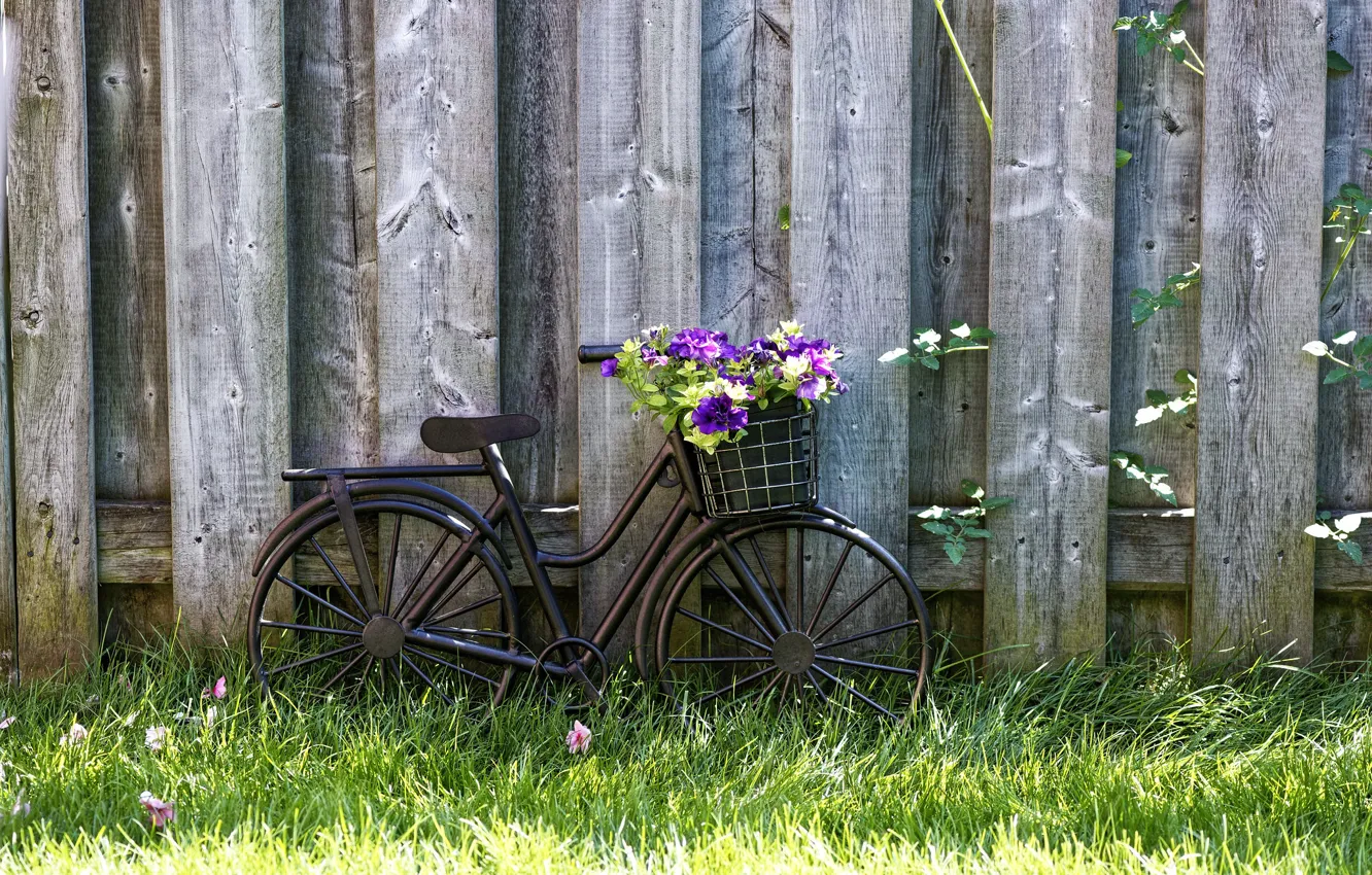 Фото обои wallpaper, grass, bicycle, bike, wood, flowers, basket, lawn
