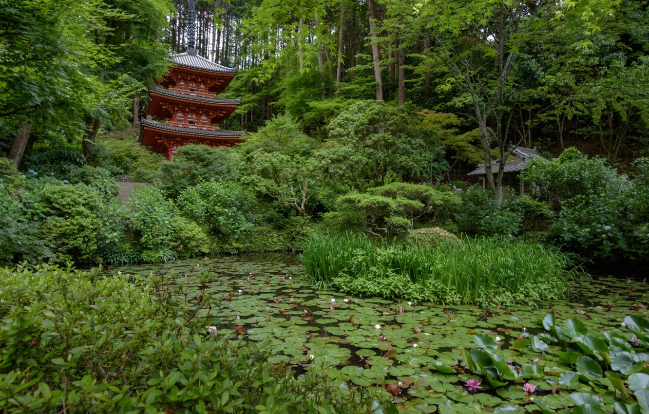 Фото обои Природа, Япония, Сад, Пруд, Храм, Кувшинки