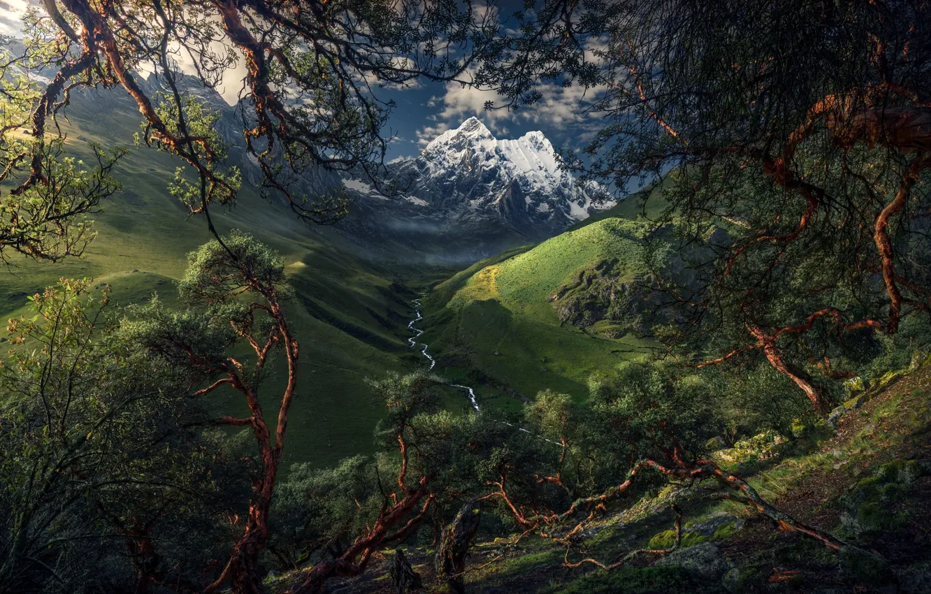 Фото обои деревья, горы, река, долина, Южная Америка