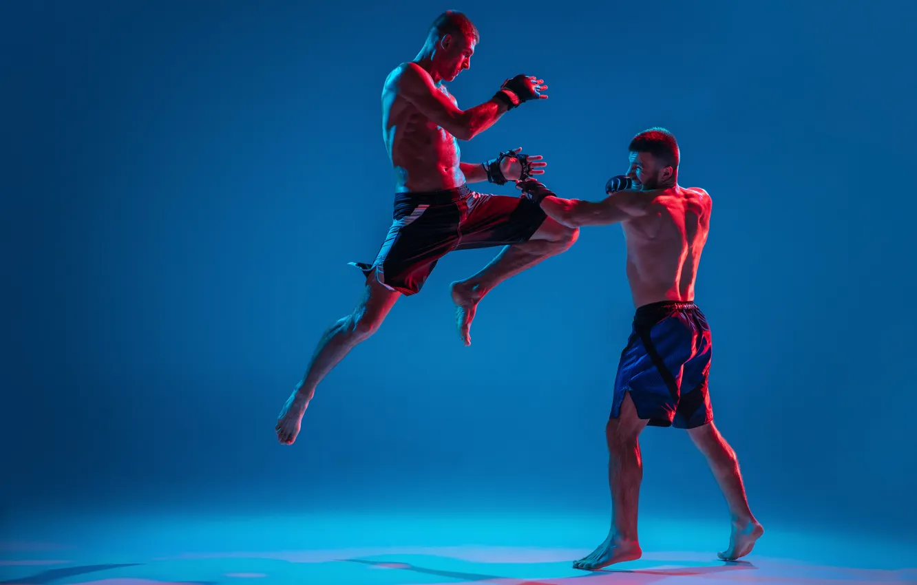Фото обои two, mma, professional, boxing, fighters, punching