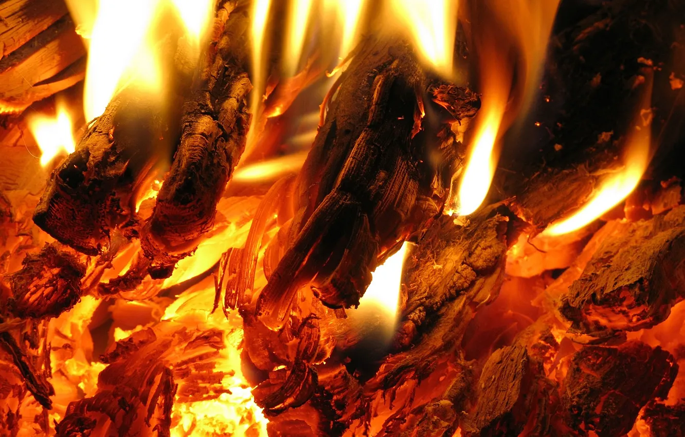 Фото обои огонь, пламя, костер, жар, уголь