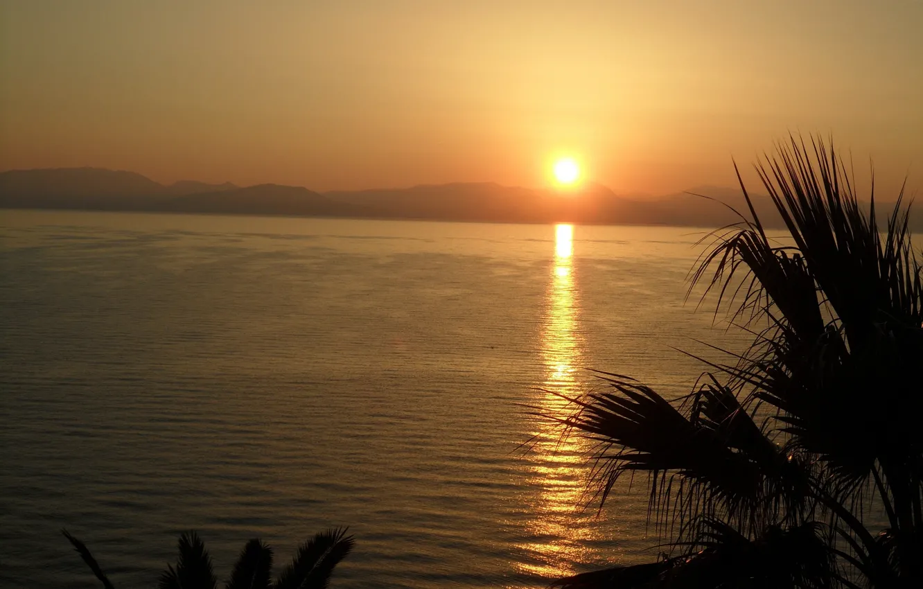 Фото обои Landscape, Sunset, Ocean, Palm trees