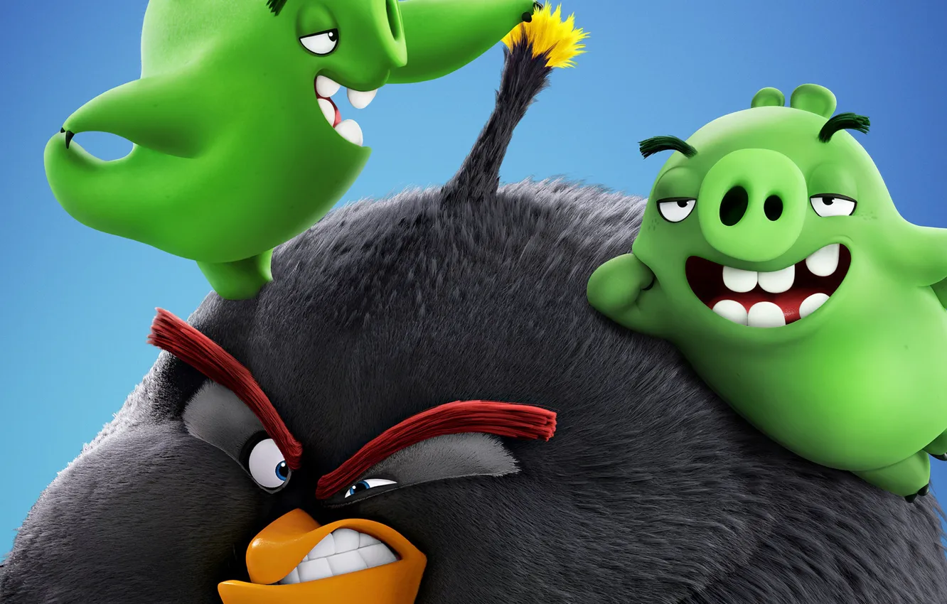 Фото обои злость, птичка, свинки, The Angry Birds Movie 2