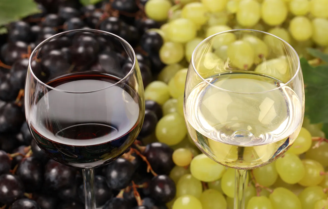Фото обои вино, красное, белое, бокалы, виноград