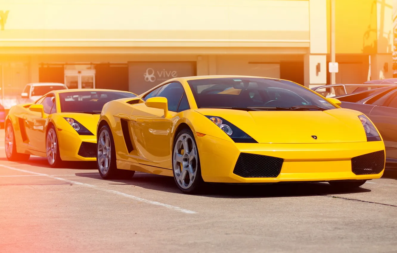 Фото обои желтый, Lamborghini, Gallardo, суперкары