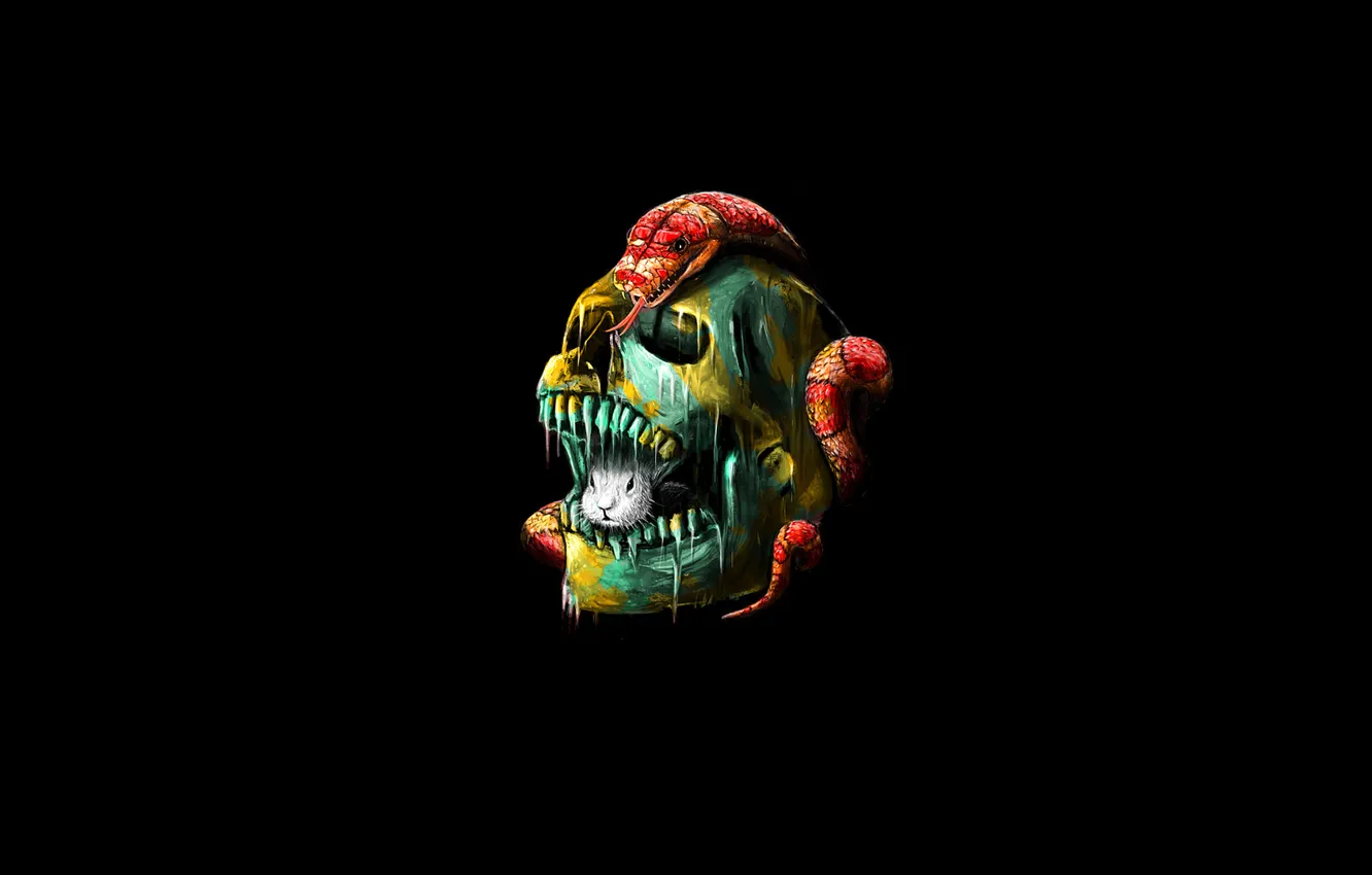 Фото обои череп, змея, кролик, skull