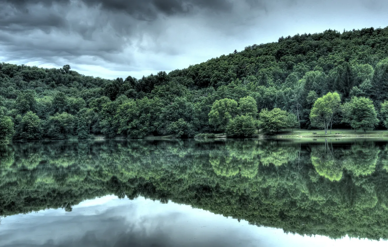 Фото обои лес, вода, отражение