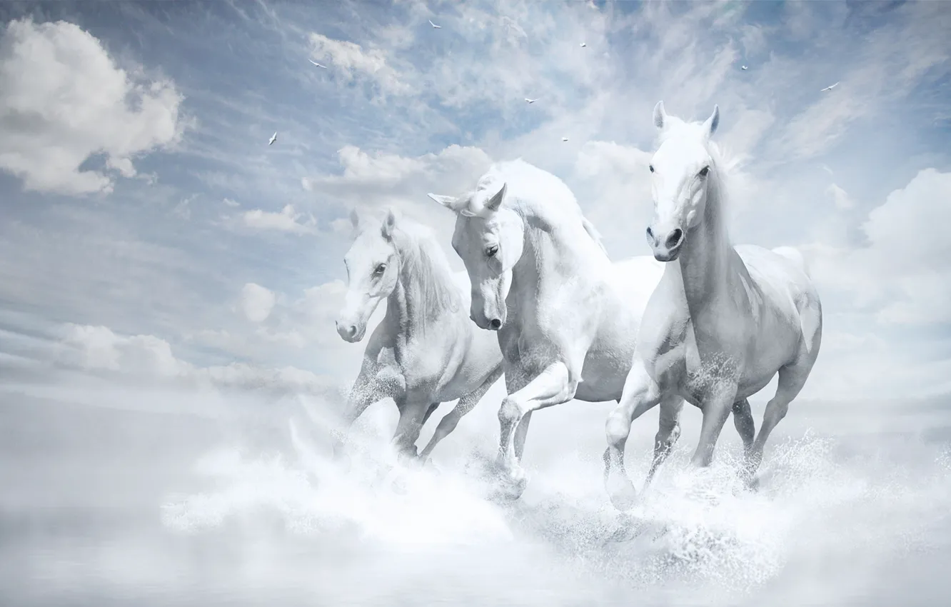 Фото обои Обои, Белые Лошади, White Horses