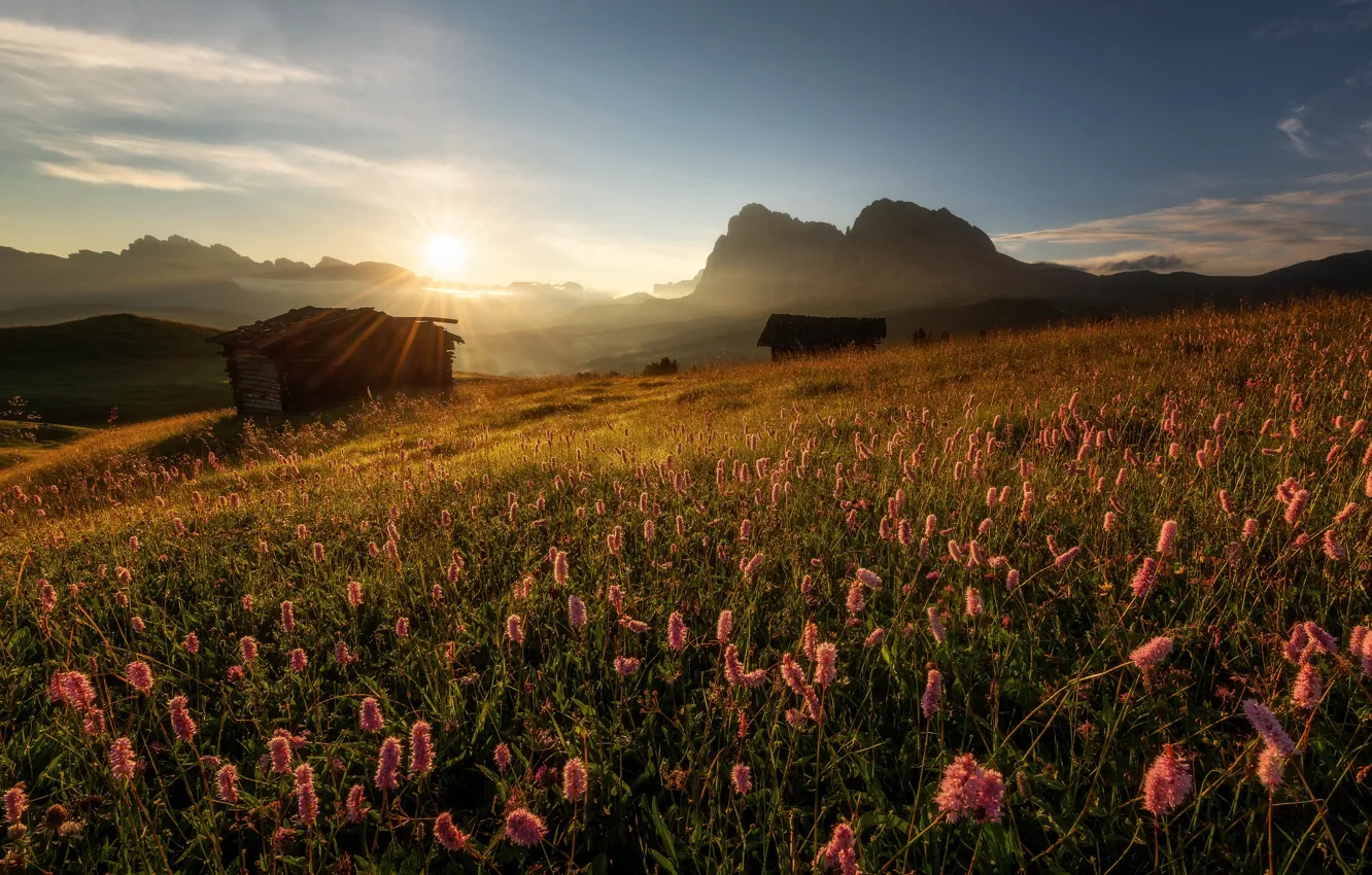 Фото обои цветы, горы, восход, рассвет, утро, луг, хижины, Италия