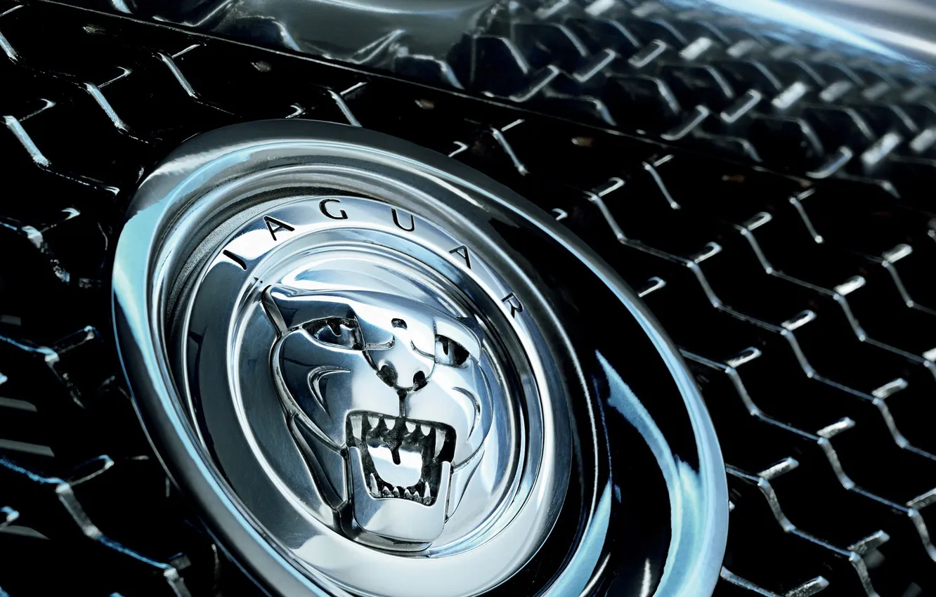 Фото обои авто, Jaguar, логотип
