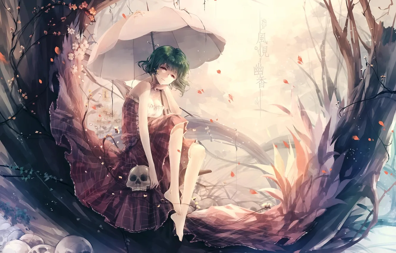 Фото обои цветы, зонтик, череп, зонт, лепестки, девочка, touhou, kazami yuuka