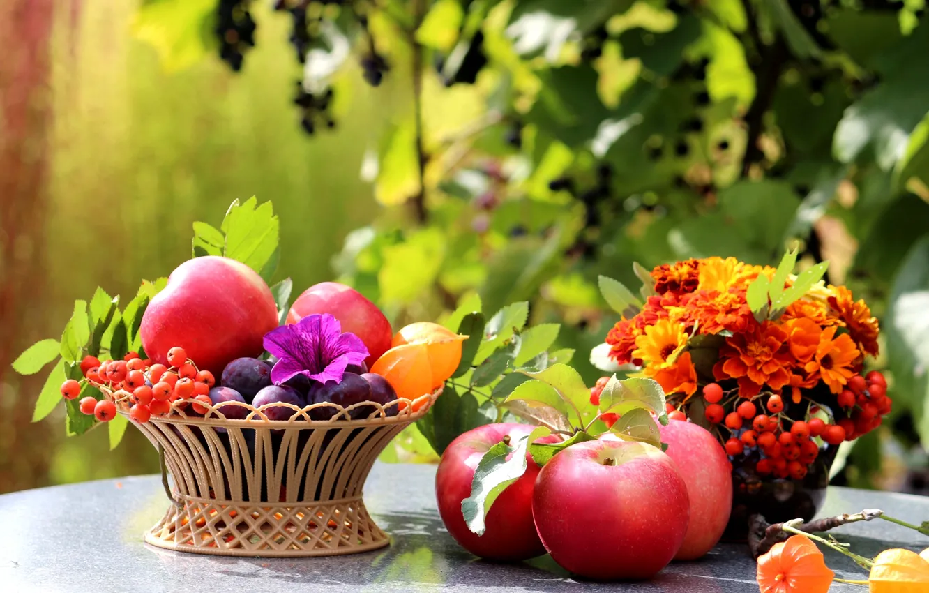 Фото обои листья, цветы, стол, корзина, яблоки, фрукты, натюрморт, сливы