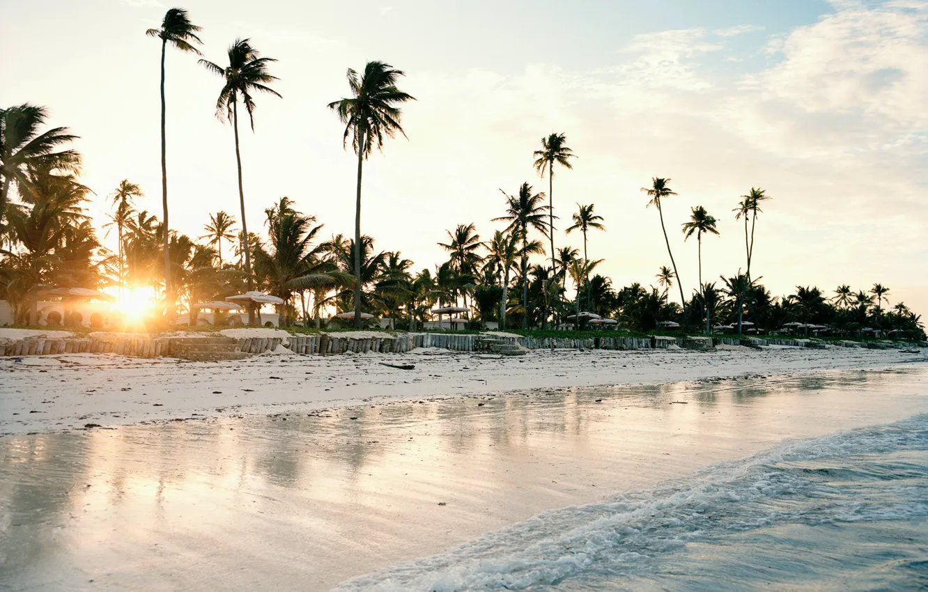 Фото обои пляж, пальмы, океан, берег, утро, курорт