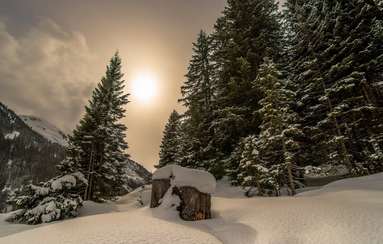 Фото обои зима, снег, пейзаж, утро