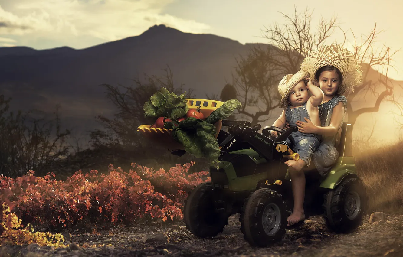 Фото обои дети, урожай, трактор, овощи