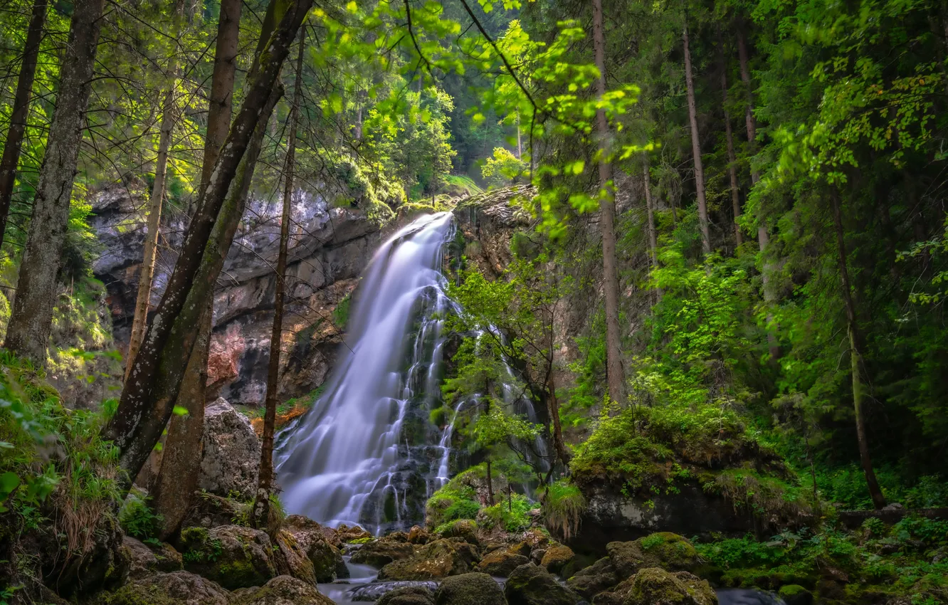 Фото обои лес, деревья, скала, камни, водопад, Австрия, каскад, Austria