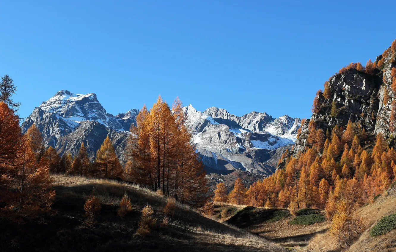 Фото обои осень, лес, горы, Италия, Italy, Piedmont, Crampiolo