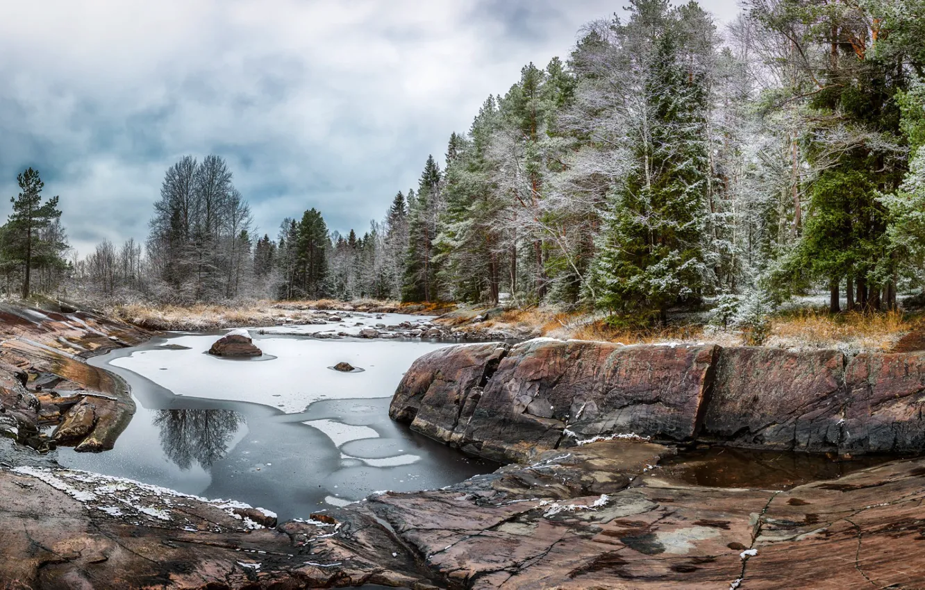 Фото обои лес, река, Финляндия, первый снег, Koiteli, Kiiminkijoki