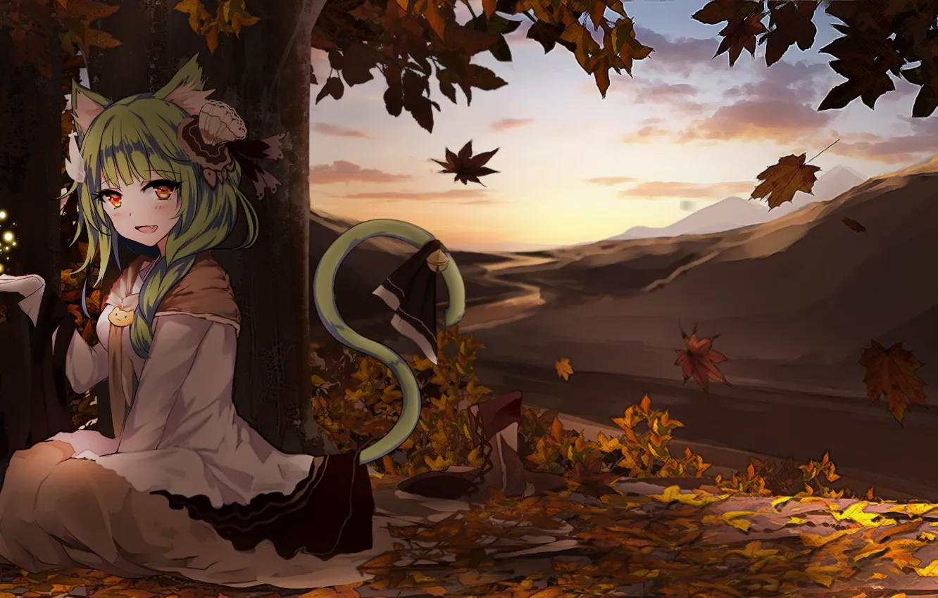 Фото обои осень, аниме, девочка, Кошечка