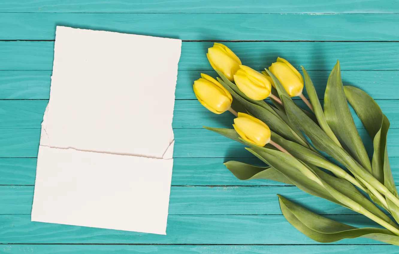 Фото обои письмо, цветы, букет, желтые, тюльпаны, yellow, flowers, tulips