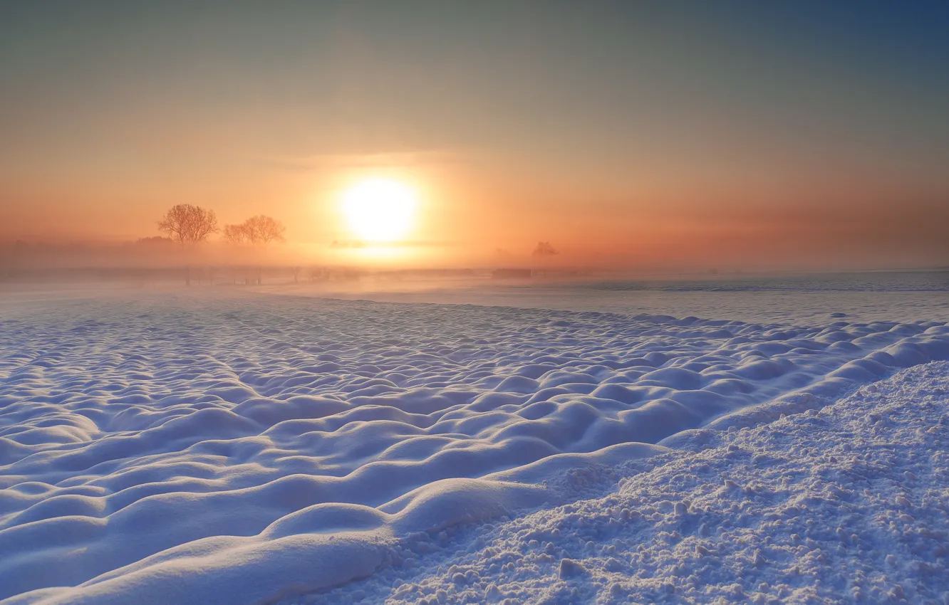 Фото обои снег, деревья, туман, восход, горизонт