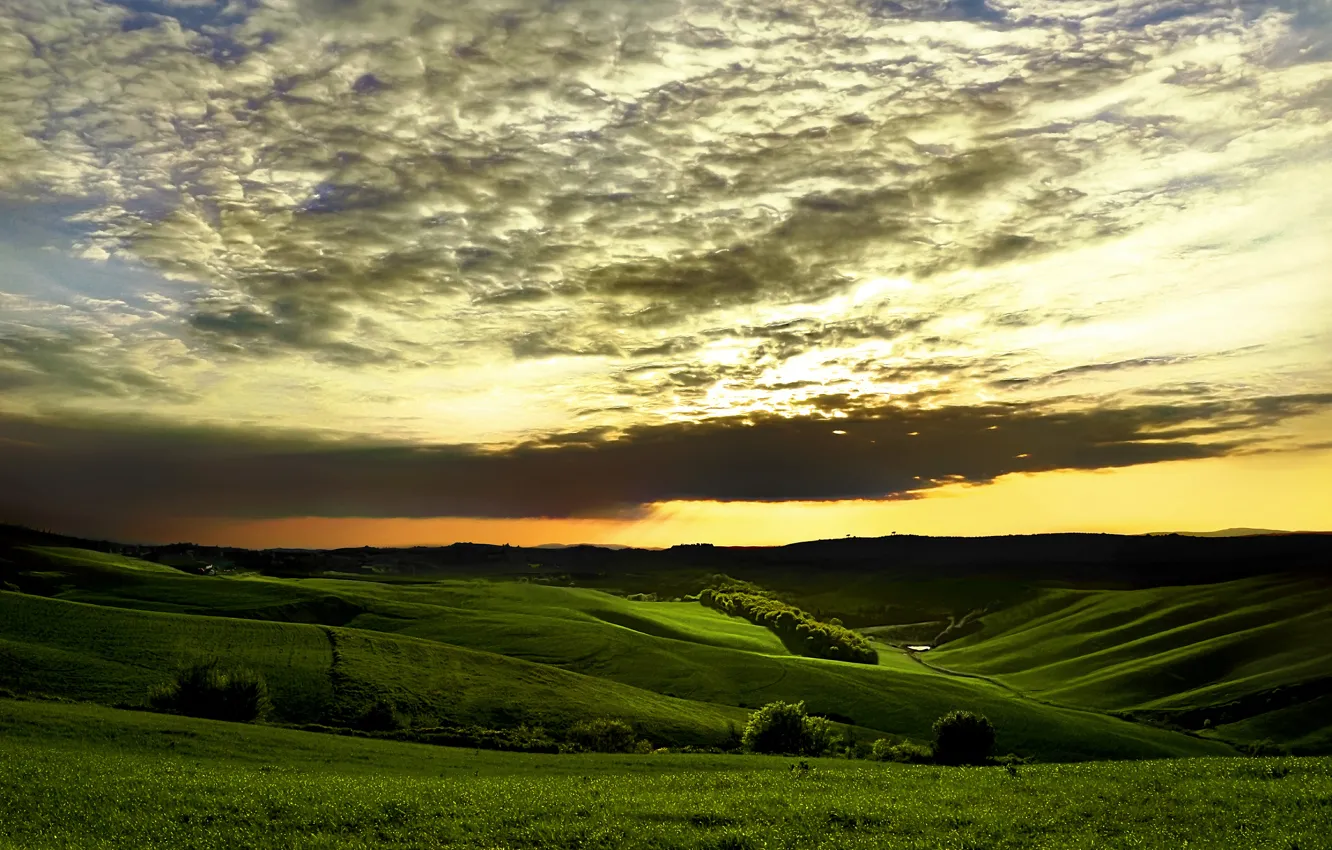 Фото обои зелень, небо, трава, облака, деревья, закат, холмы