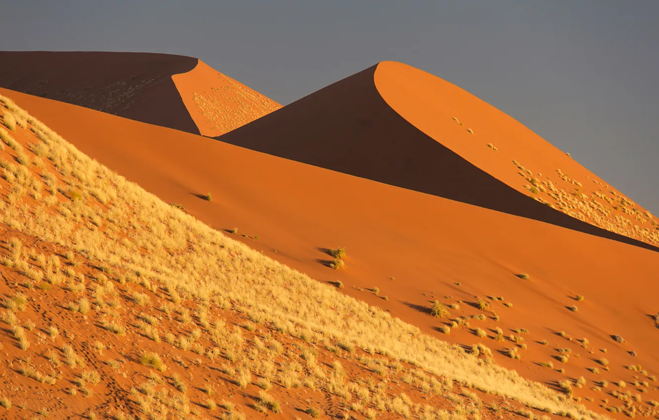 Фото обои песок, небо, барханы, Африка, Намибия, пустыня Намиб