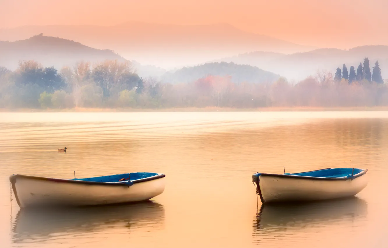 Фото обои небо, горы, туман, озеро, лодки, утка