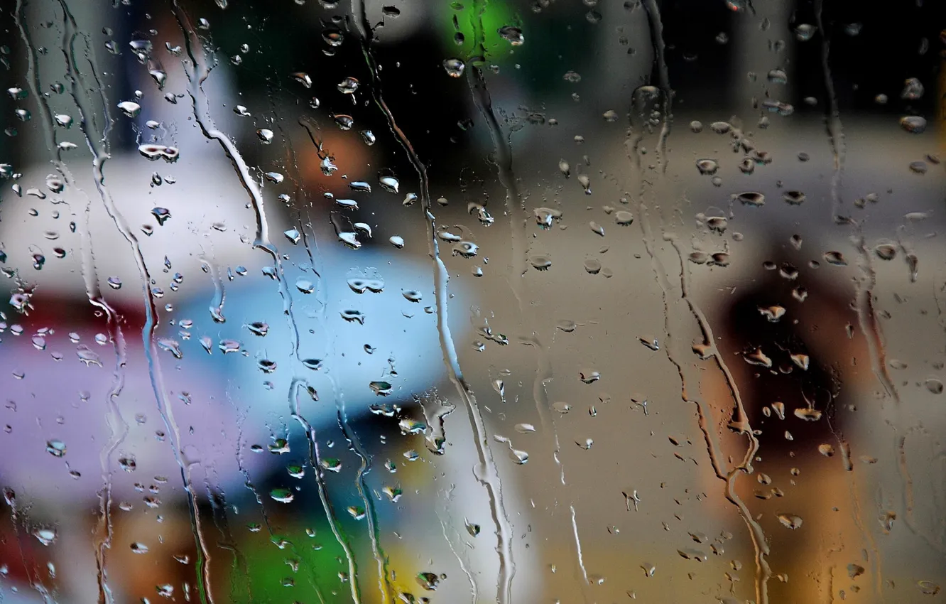 Фото обои осень, стекло, капли, город, люди, дождь, зонтики, зонты