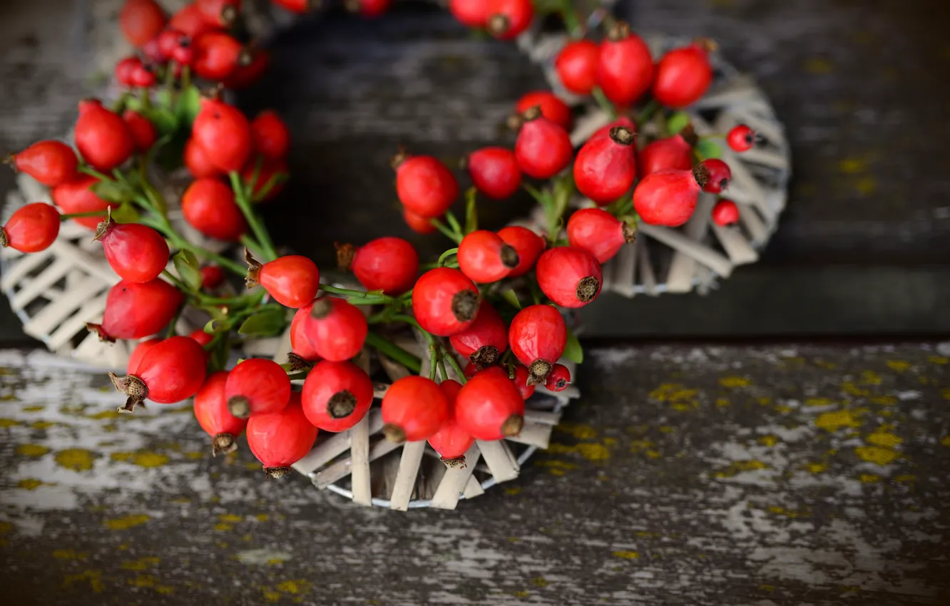 Фото обои осень, ягоды, доски, плоды, шиповник, красные, венок, композиция