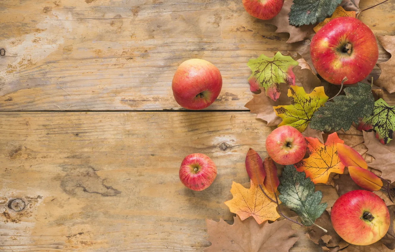 Фото обои осень, листья, фон, яблоки, доски, colorful, клен, wood