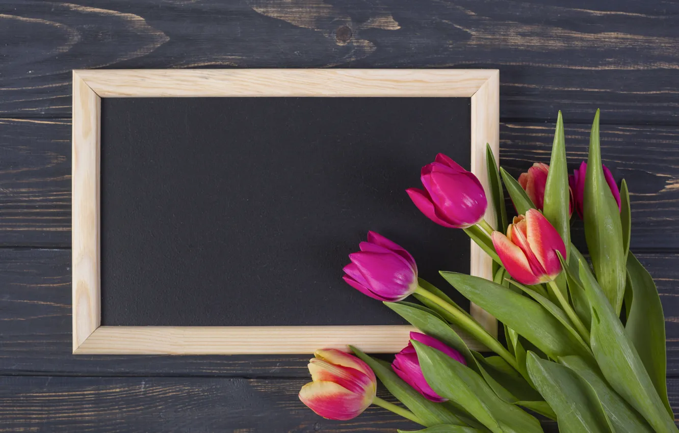 Фото обои цветы, рамка, colorful, тюльпаны, wood, pink, flowers, tulips