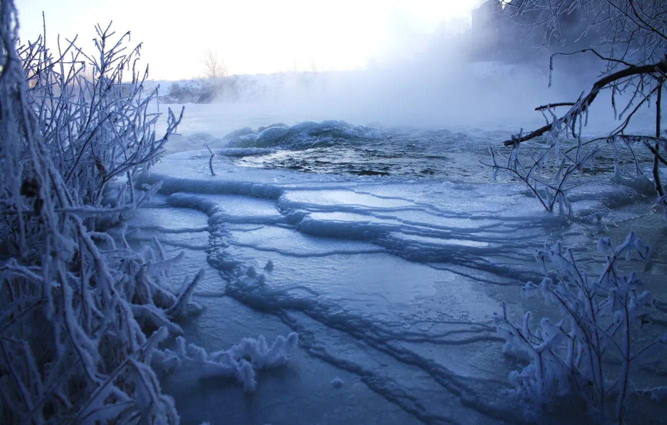 Фото обои зима, река, кусты, торосы