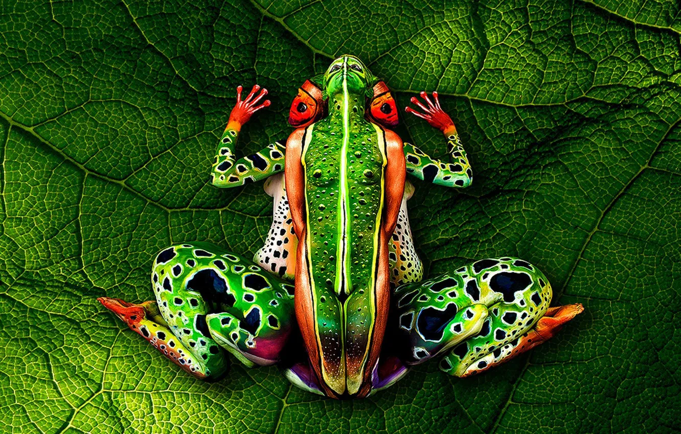 Фото обои bodypainting, green leaf, naked women, Frog