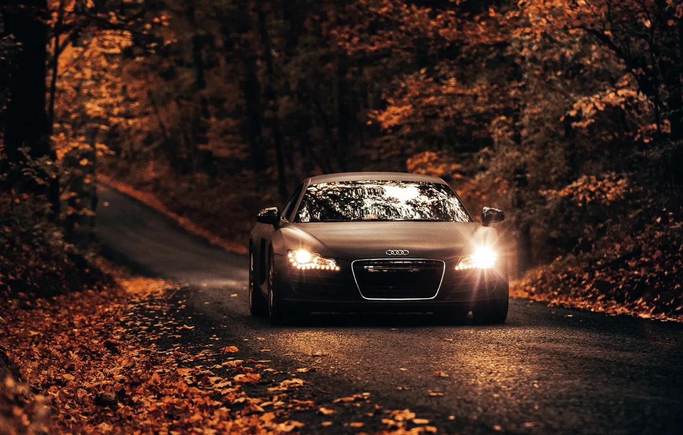 Фото обои дорога, car, машина, осень, Audi, Ауди, Audi R8, коричневый