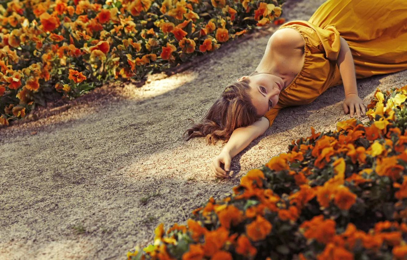 Фото обои девушка, цветы, лицо, волосы, платье, дорожка, лежит