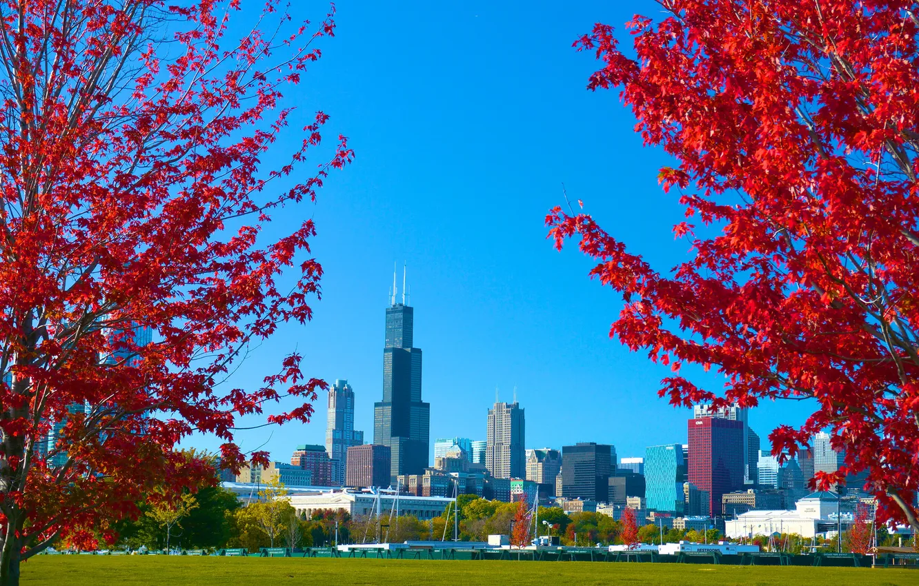 Фото обои осень, небо, трава, деревья, город, парк, Чикаго, США