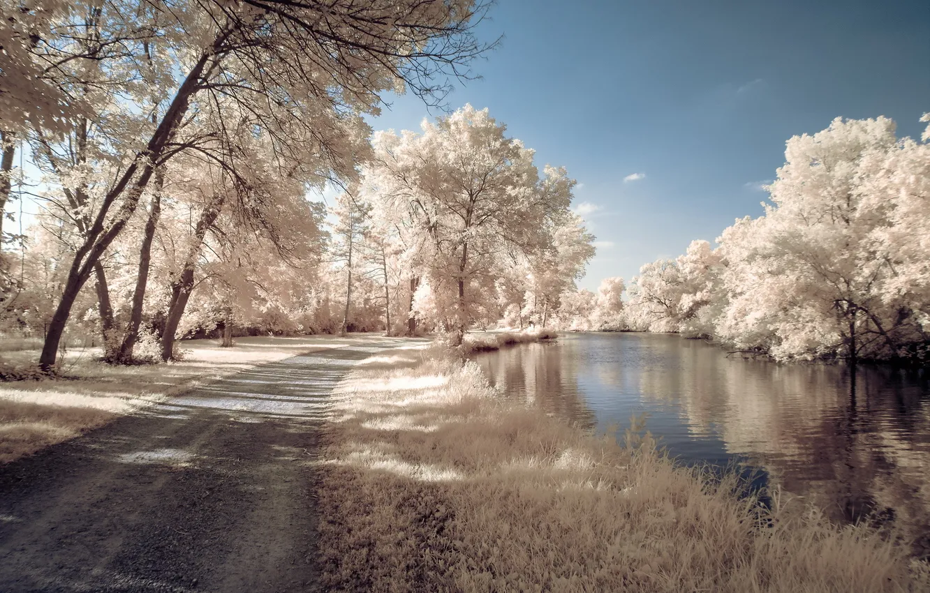 Фото обои дорога, пейзаж, река